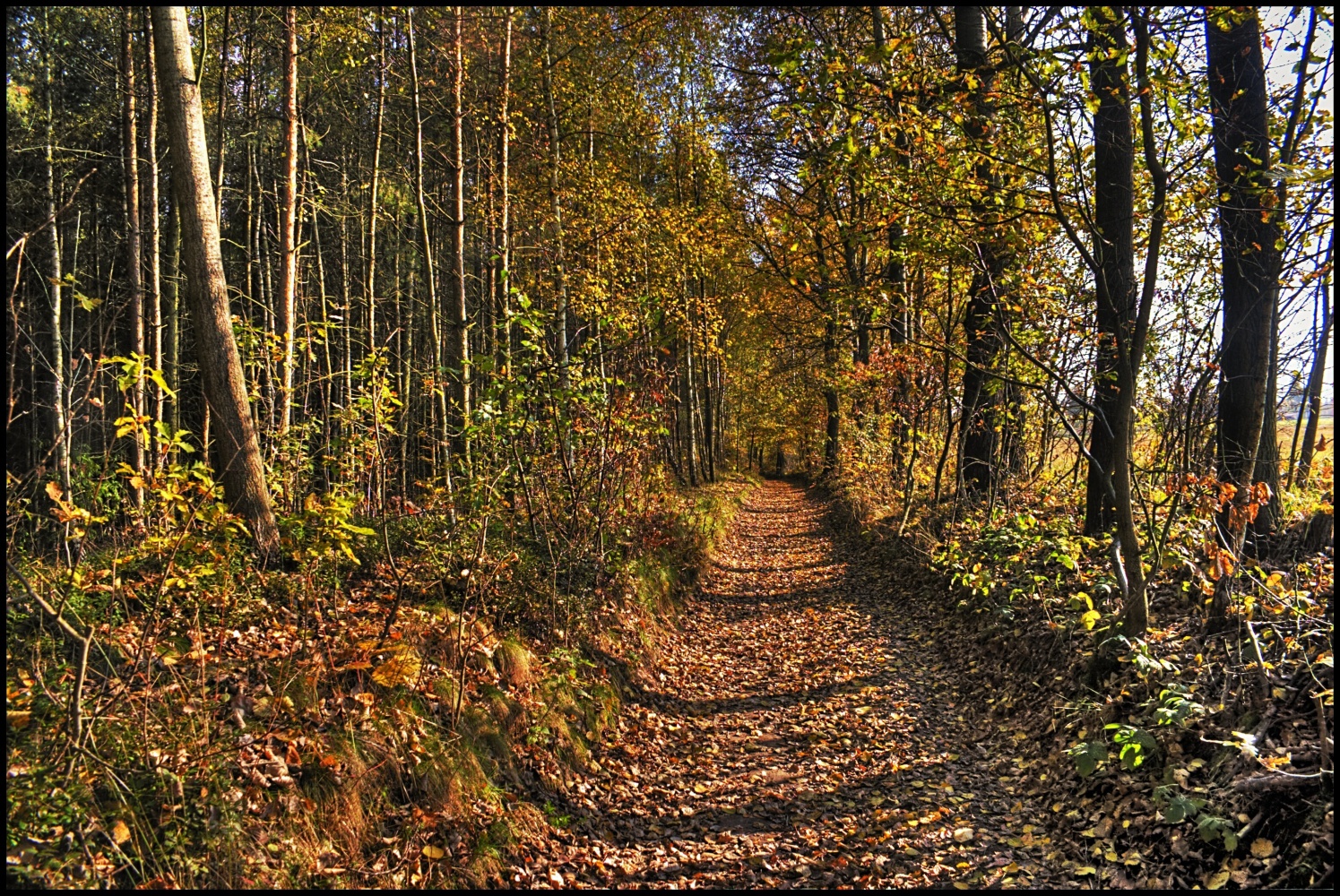 76 2010 na Cestě Hořicko