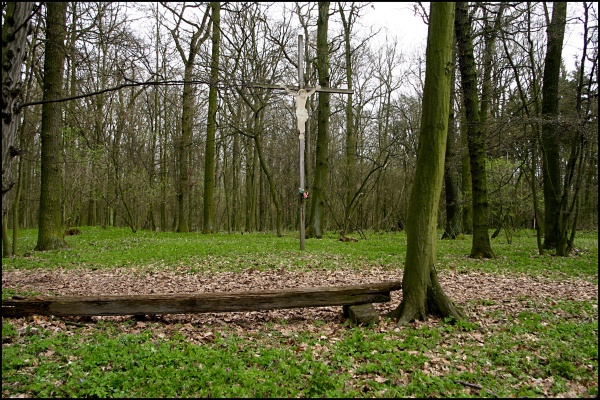 12 2010 Bývalý kostel v Sekeřicích